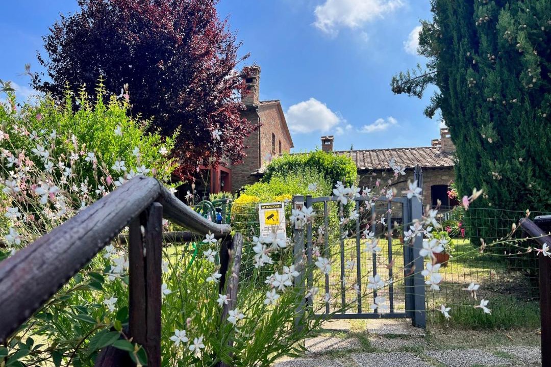 Photo of Others in Castiglione del Lago