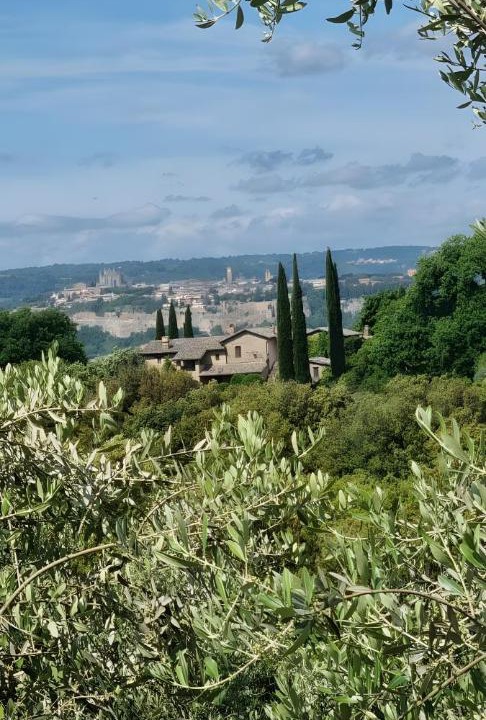 Photo of Others in Orvieto
