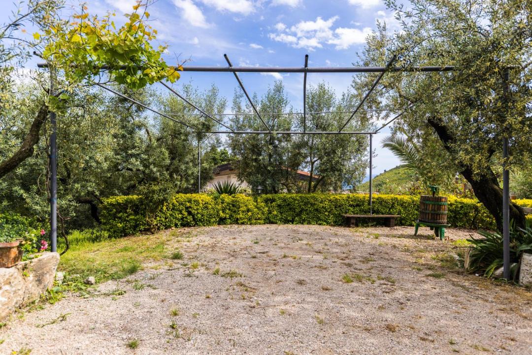 Photo of Others in Trivio