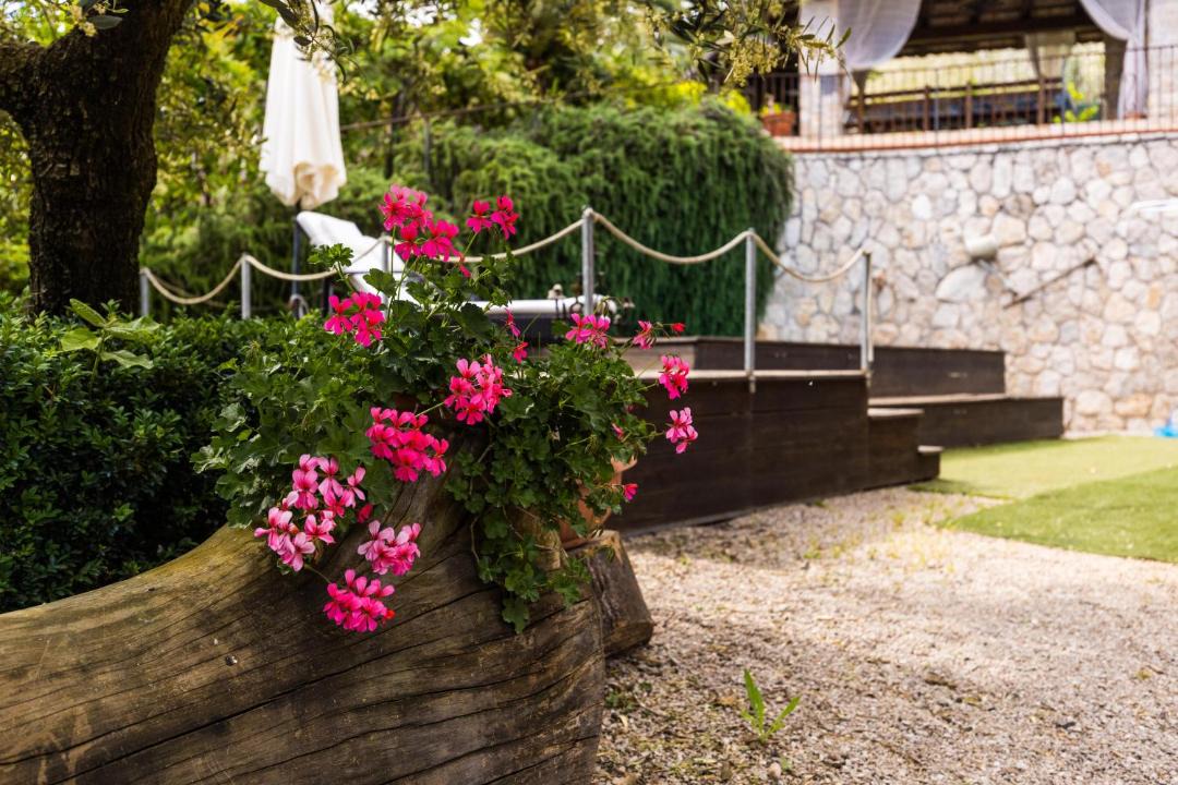 Photo of Others in Trivio