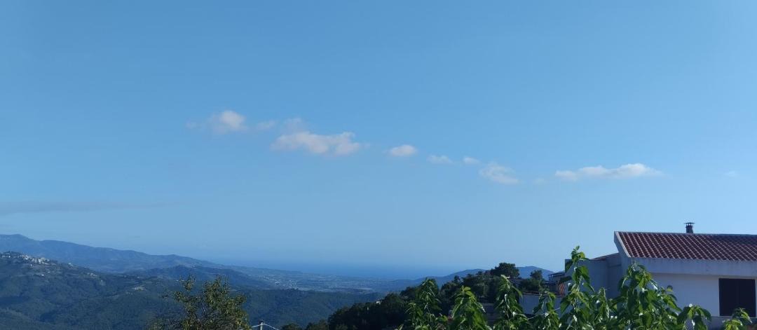 Photo of Others in Orria