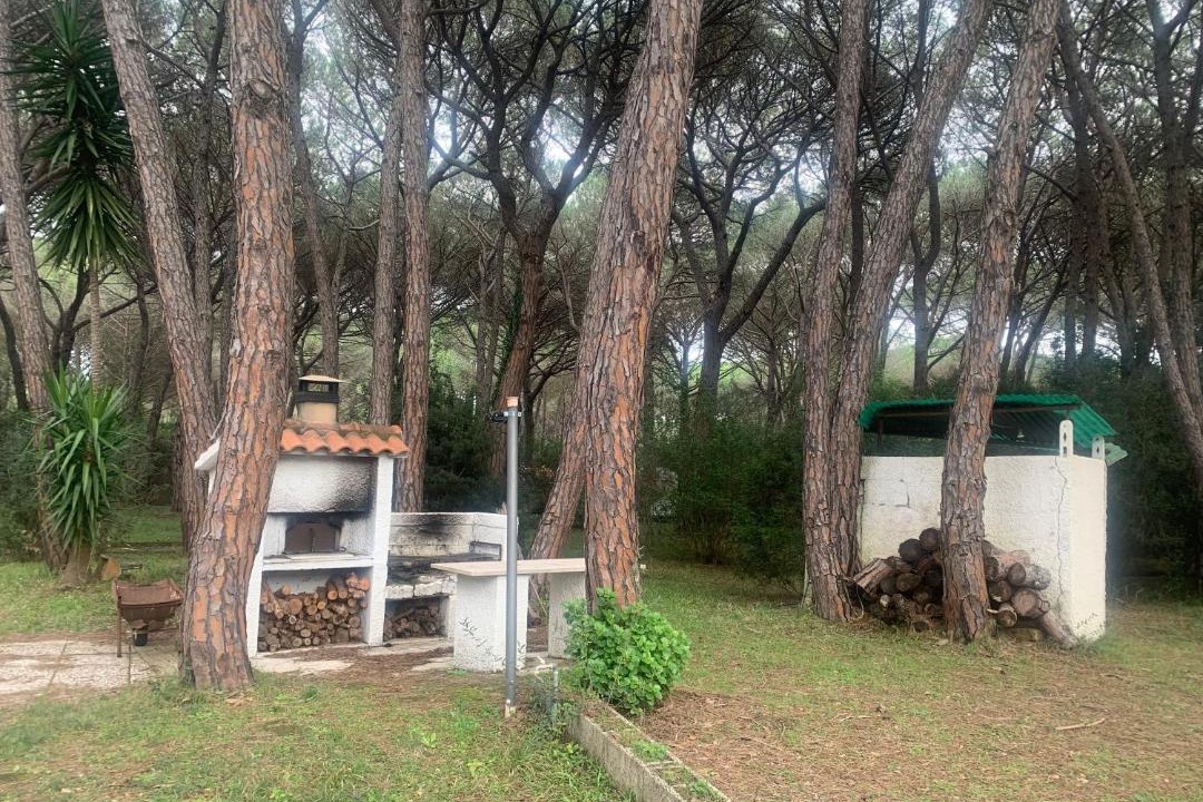 Photo of Others in Marina di Grosseto