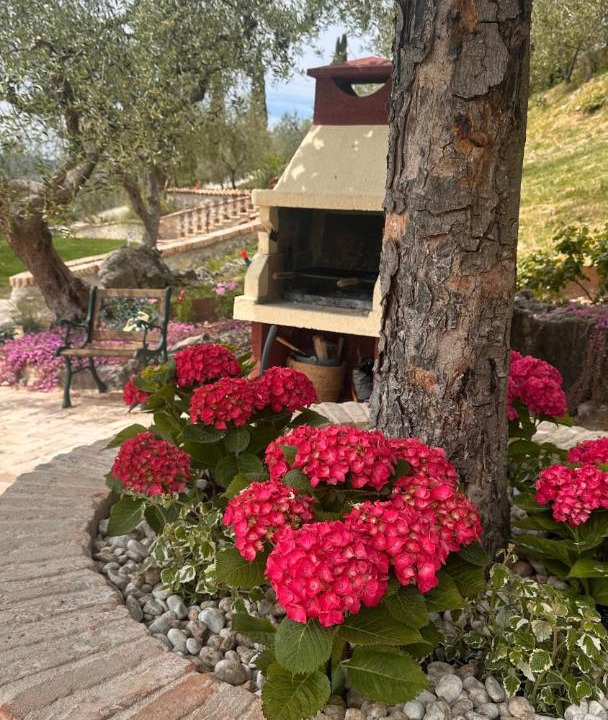 Photo of Others in Scandriglia