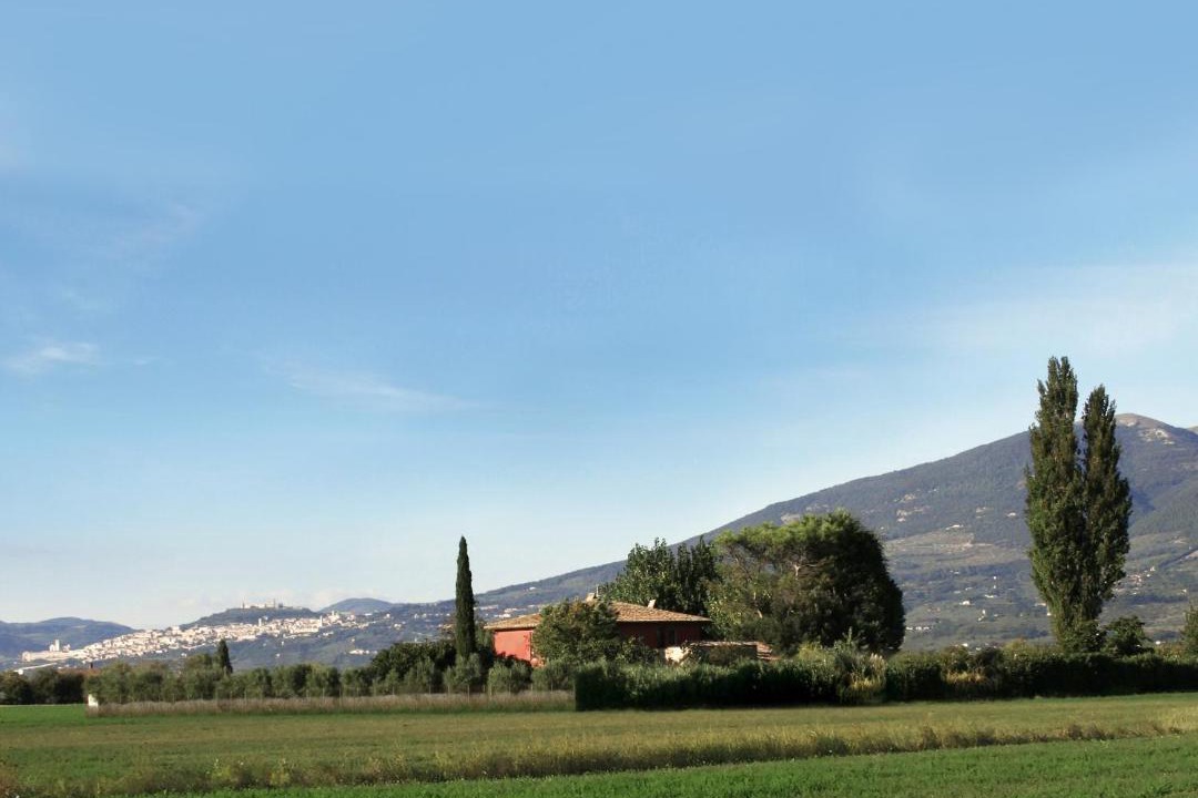 Photo of Others in Limiti