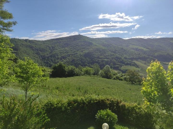 Photo of Others in Torrazza Coste