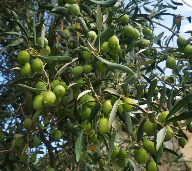 Photo of Outdoor in Crotone