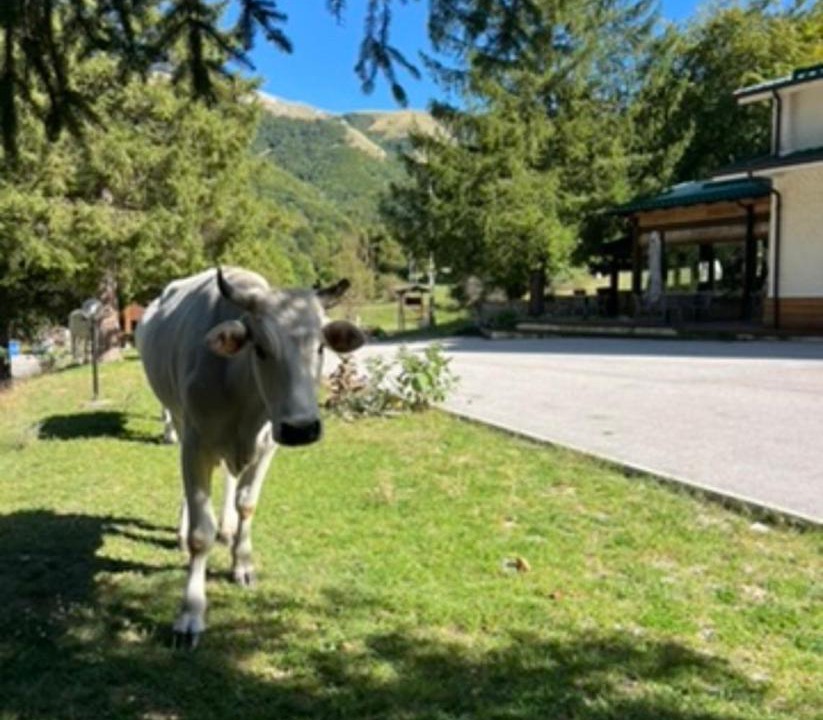 Photo of Others in Leonessa