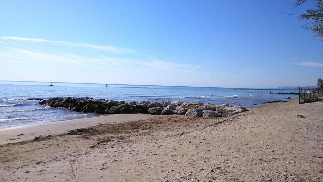 Photo of Others in Cologna Spiaggia