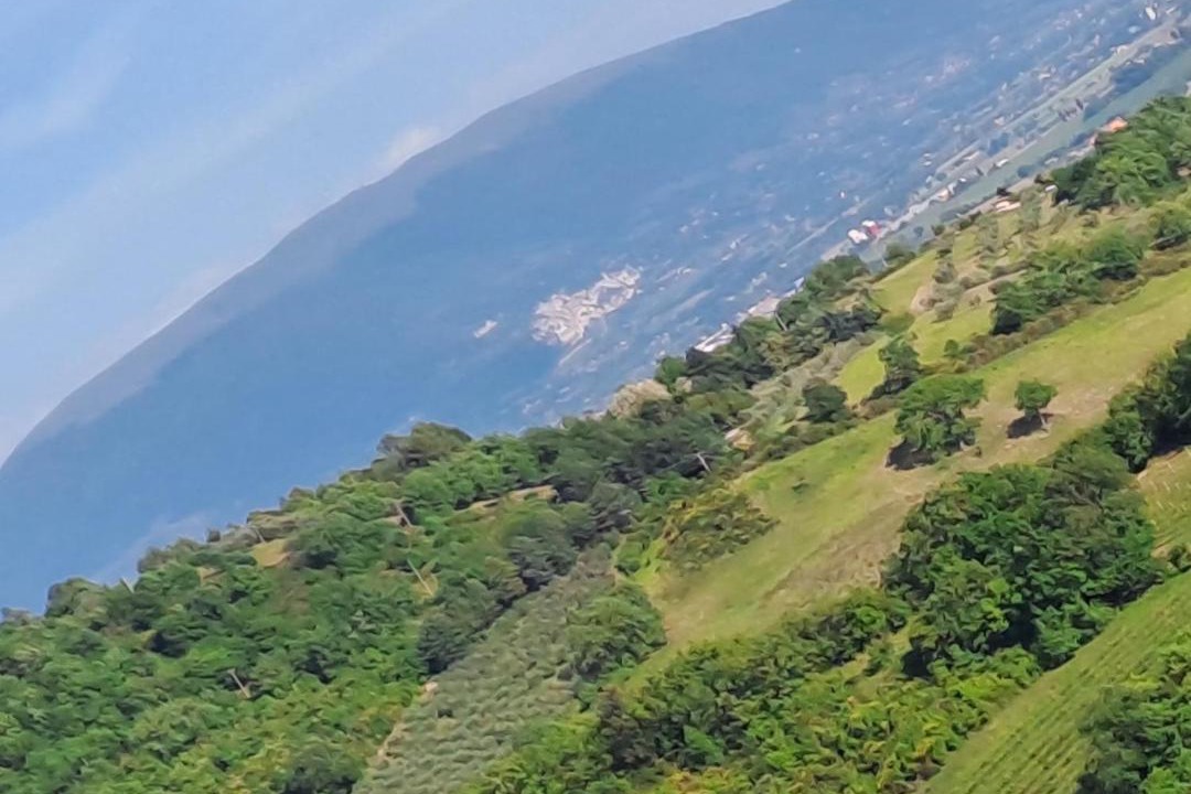 Photo of Others in Montelaguardia