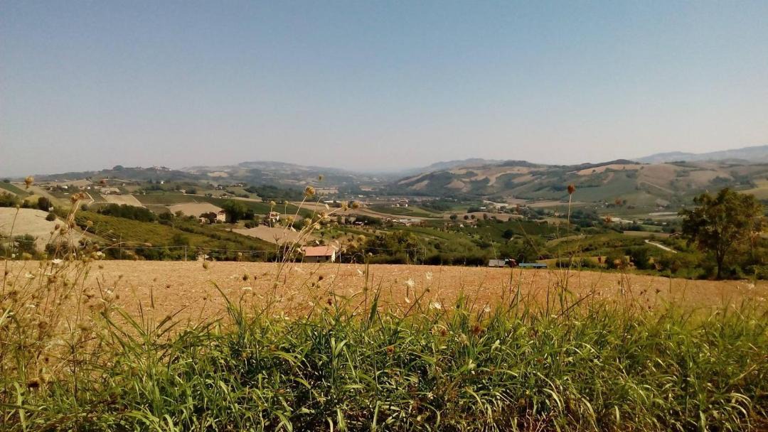 Photo of Others in Montalto delle Marche