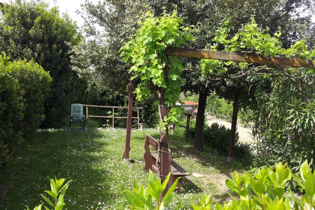 Photo of Others in Montalto delle Marche