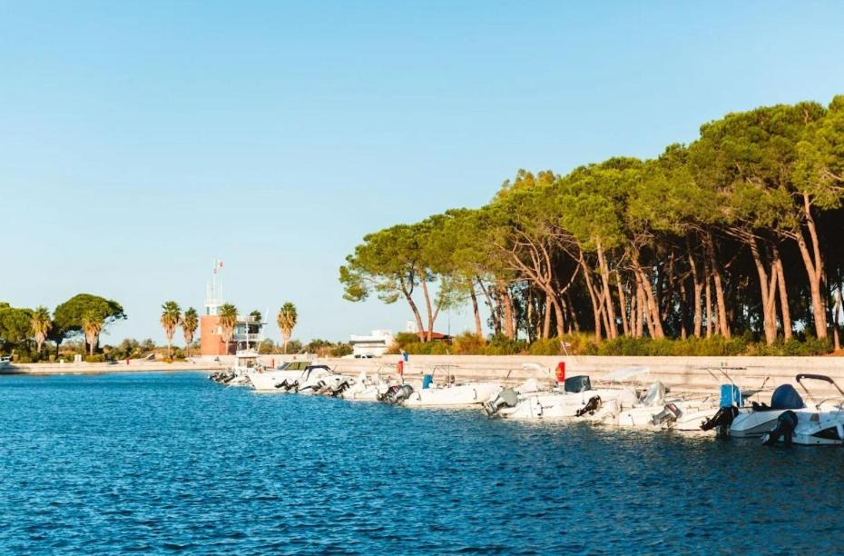 Photo of Others in Pisticci
