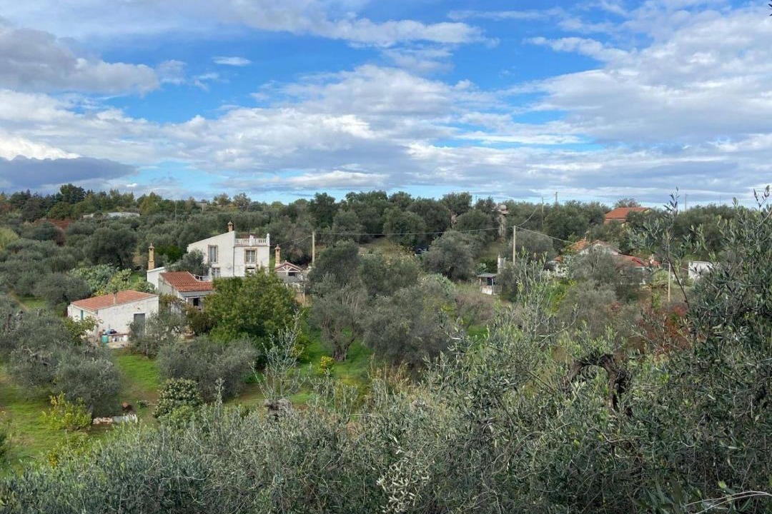 Photo of Others in Pisticci
