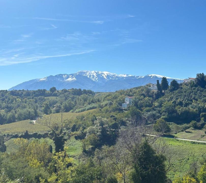 Photo of Others in Arielli