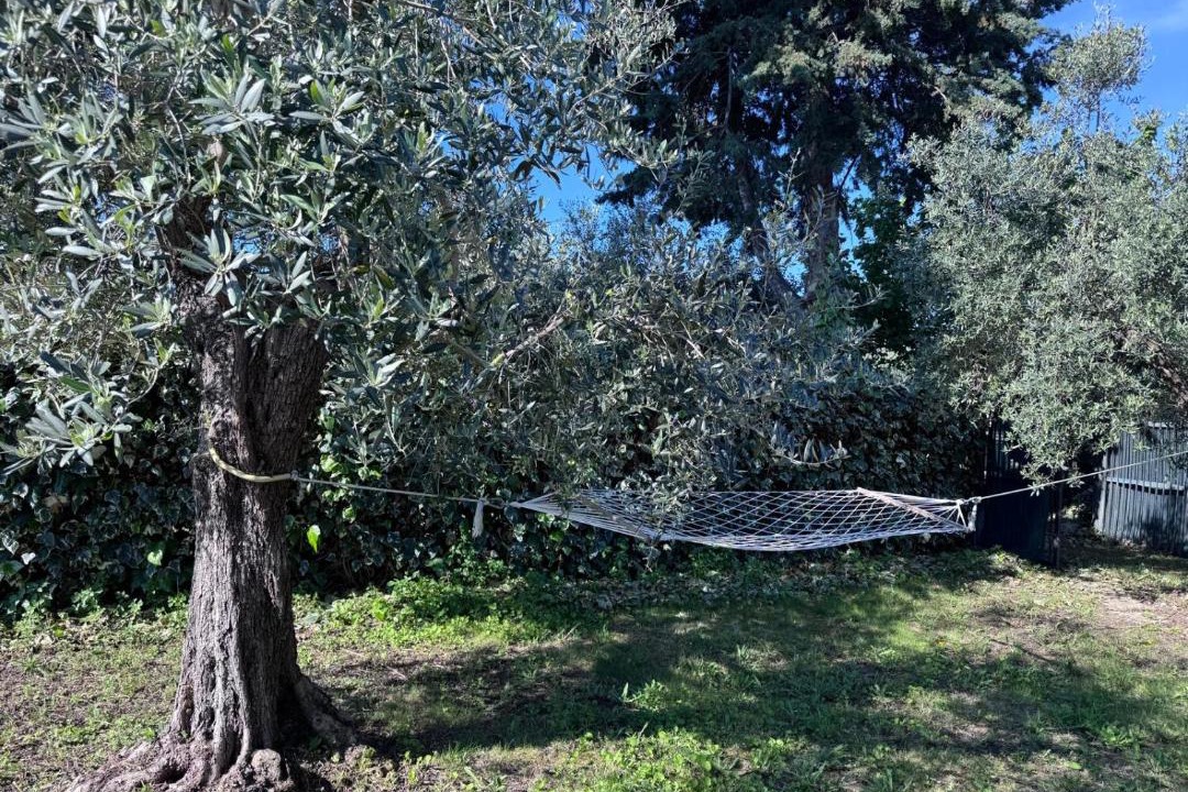 Photo of Others in Ortona