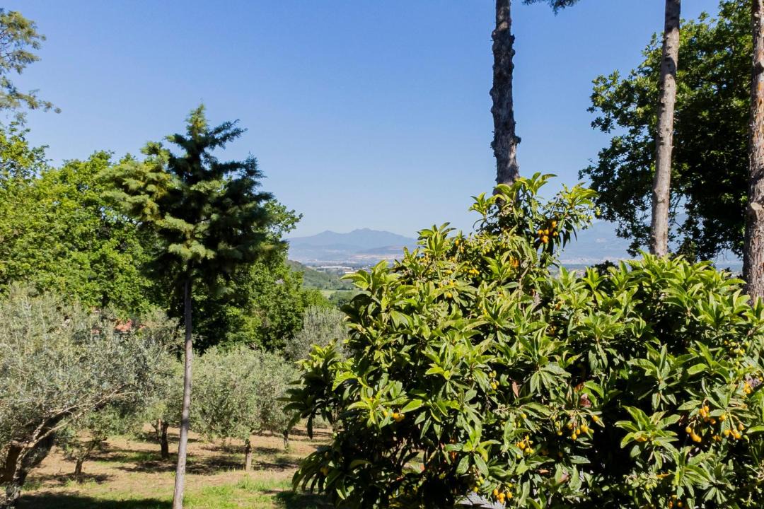 Photo of Others in Albanella