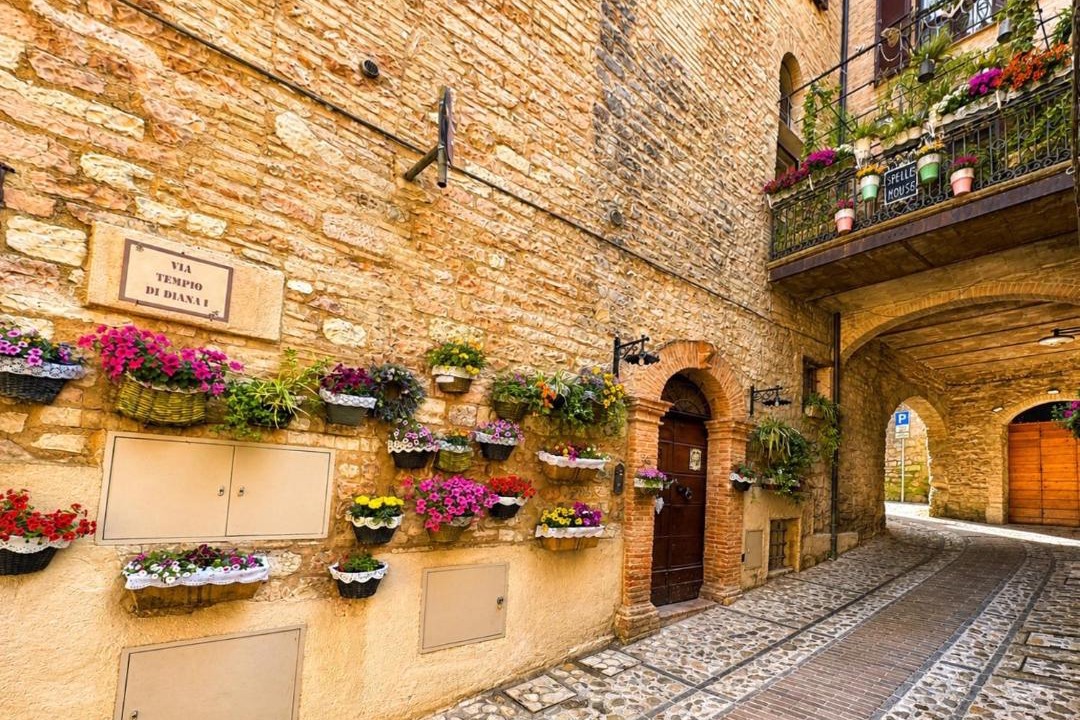 Photo of Others in Spello