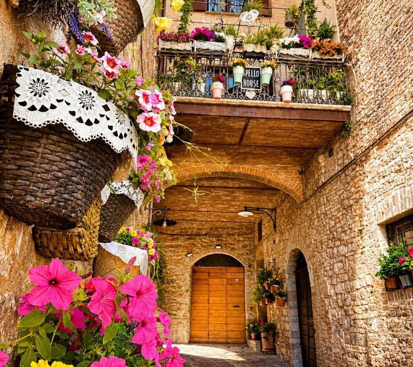 Photo of Others in Spello