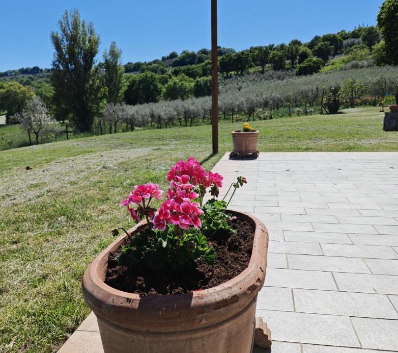 Photo of Others in Bevagna
