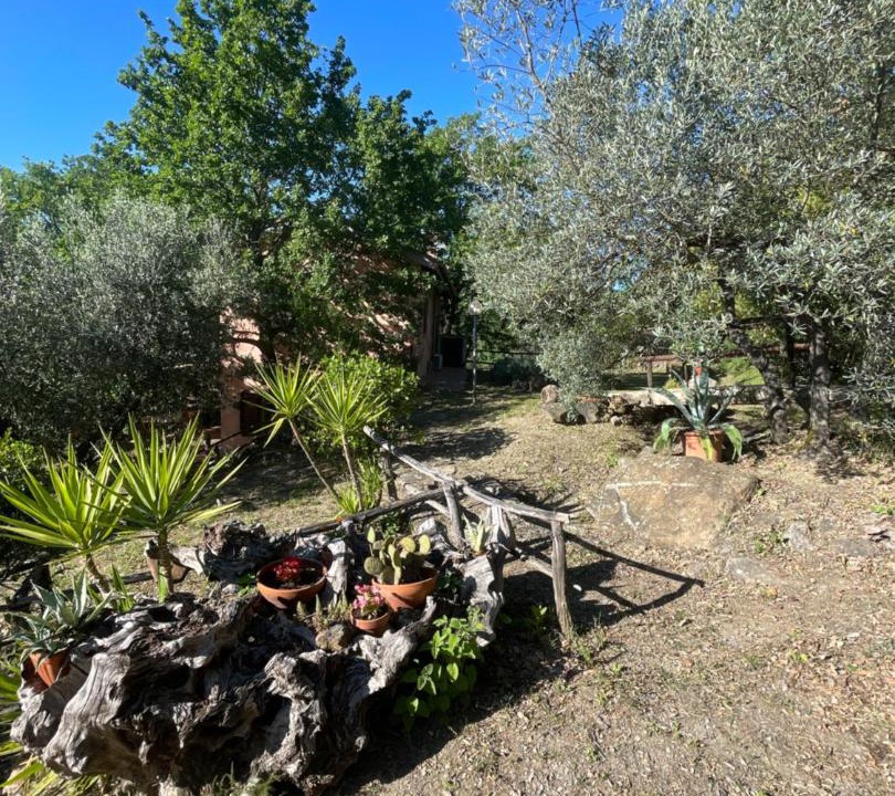 Photo of Others in Roccastrada