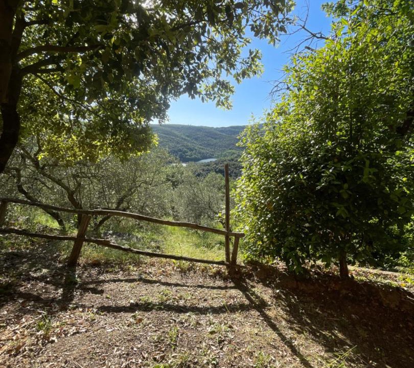 Photo of Others in Roccastrada