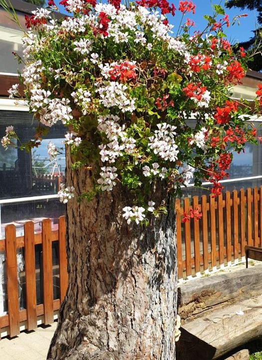 Photo of Others in Rossano