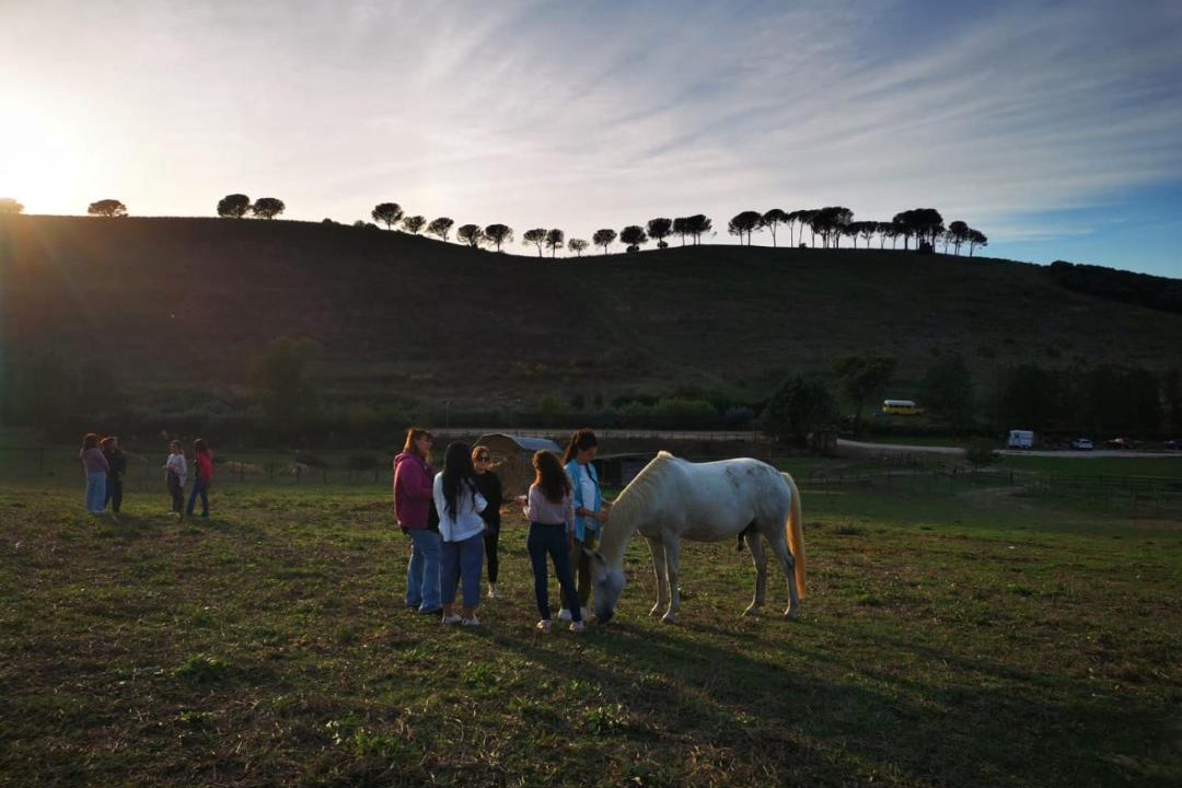 Photo of Others in Zona III Marcigliana