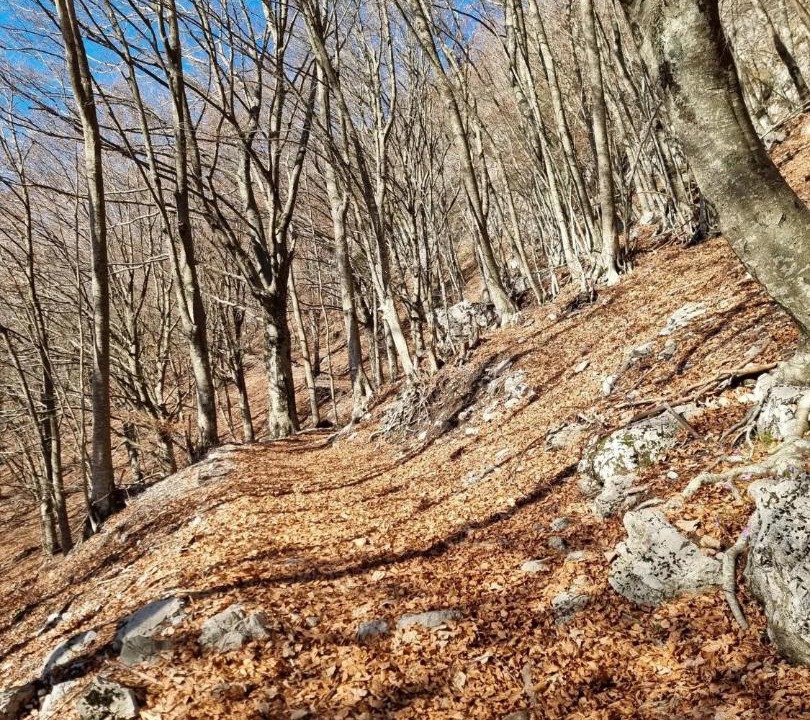 Photo of Others in San Cipriano Picentino