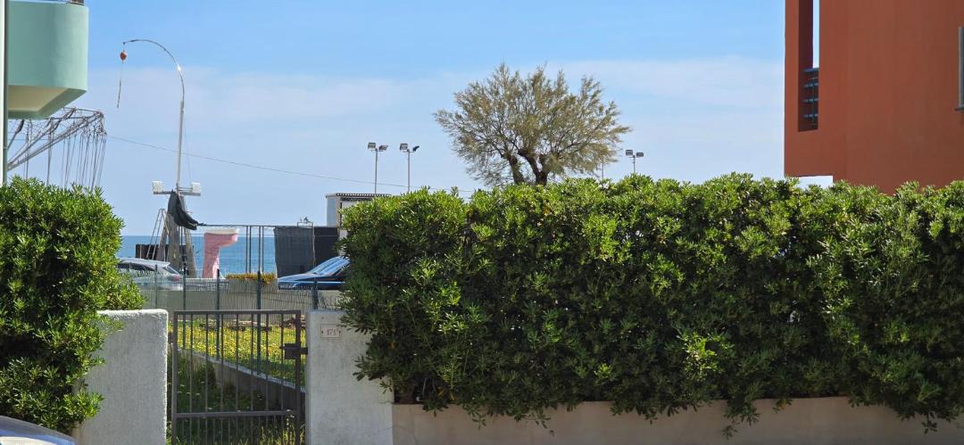 Photo of Others in Marotta
