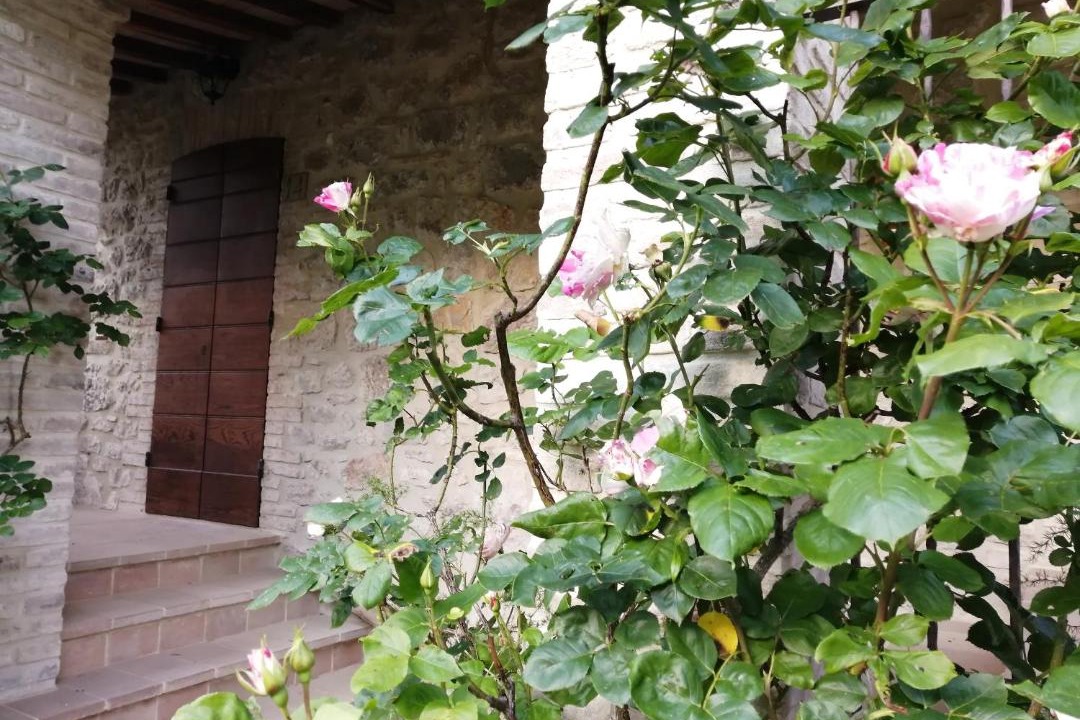 Photo of Others in Montelaguardia
