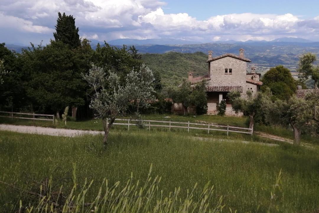Photo of Others in Montelaguardia
