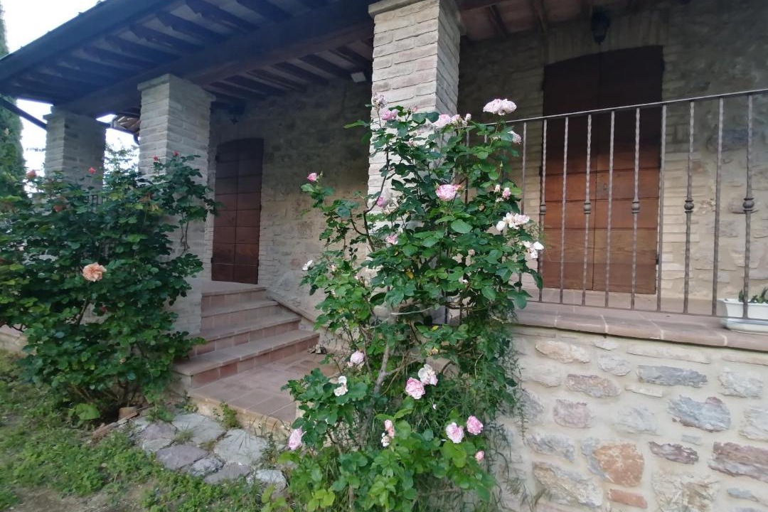 Photo of Others in Montelaguardia