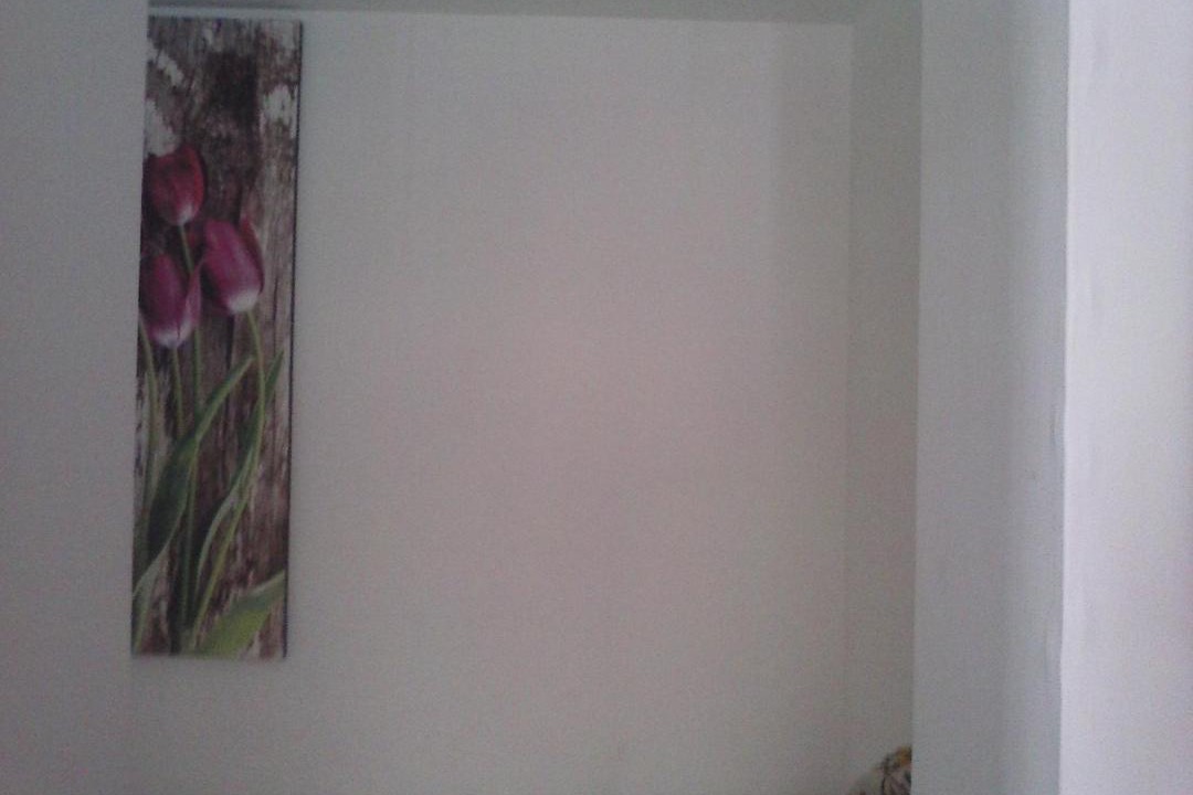 Photo of Others in Perugia