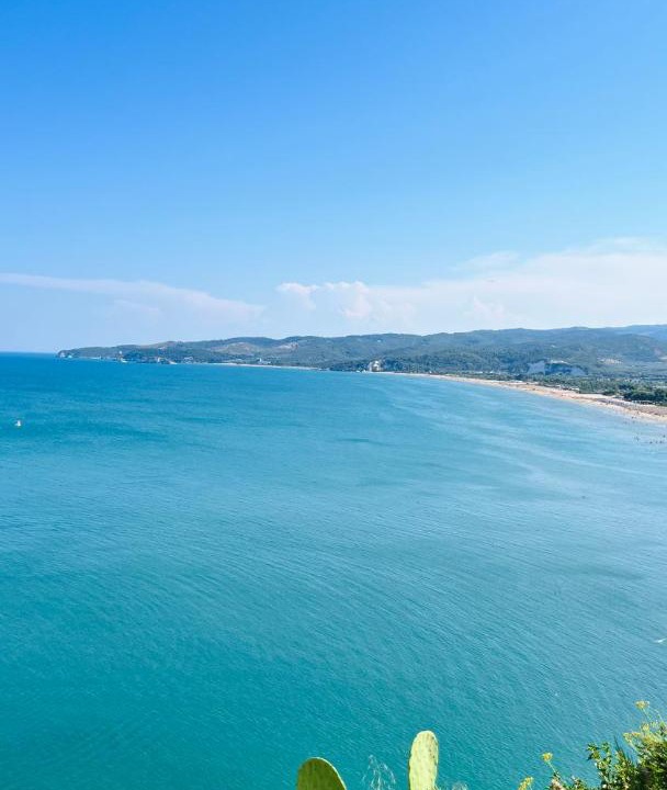 Photo of Others in Vieste