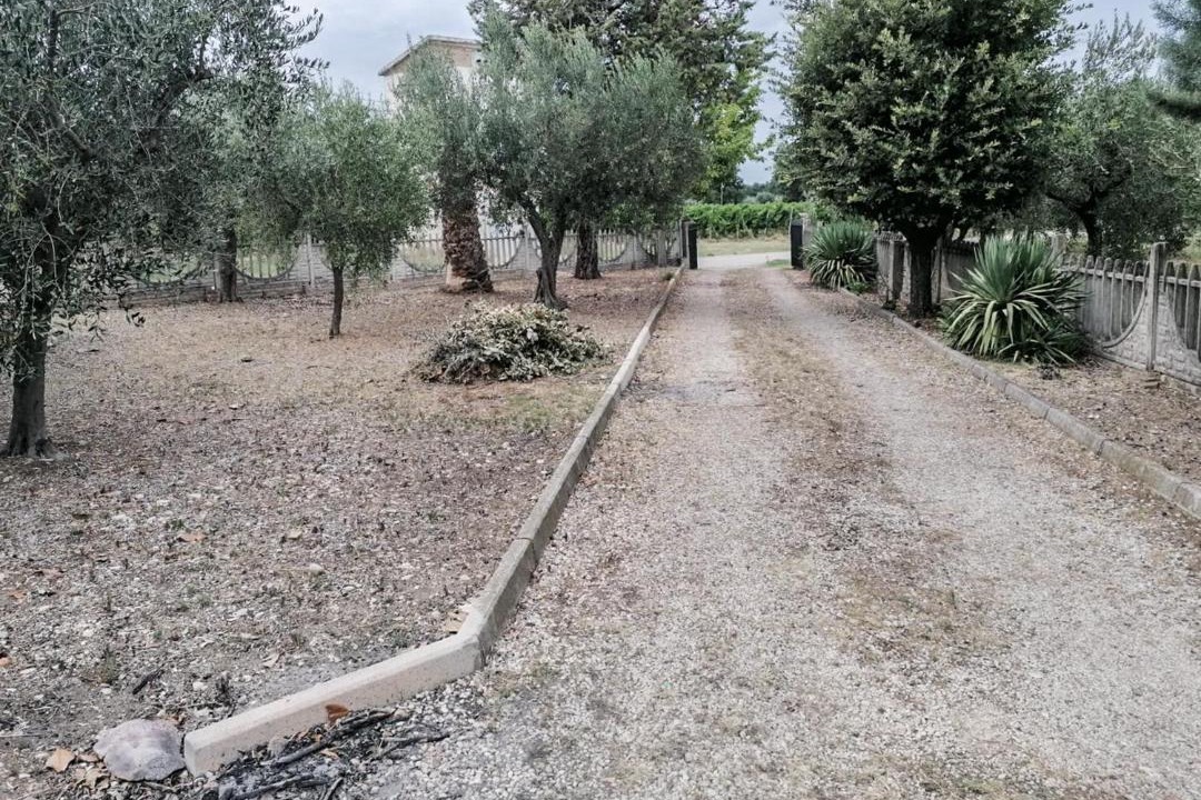 Photo of Others in Pollutri