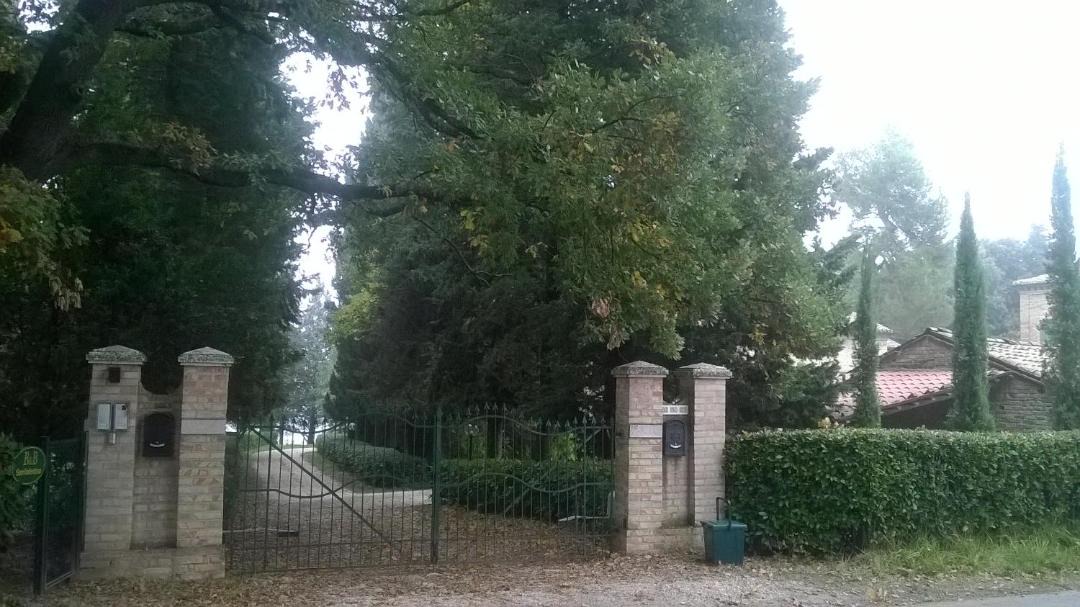 Photo of Others in Osimo