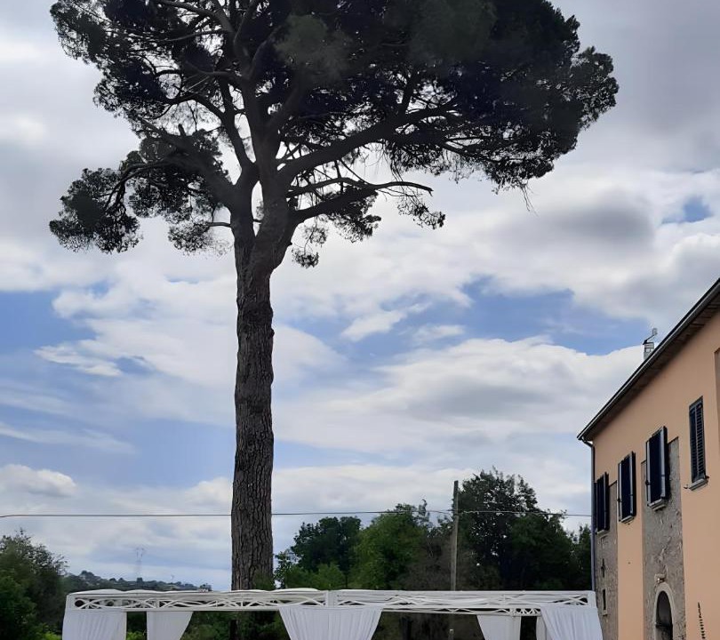 Photo of Others in Paternopoli