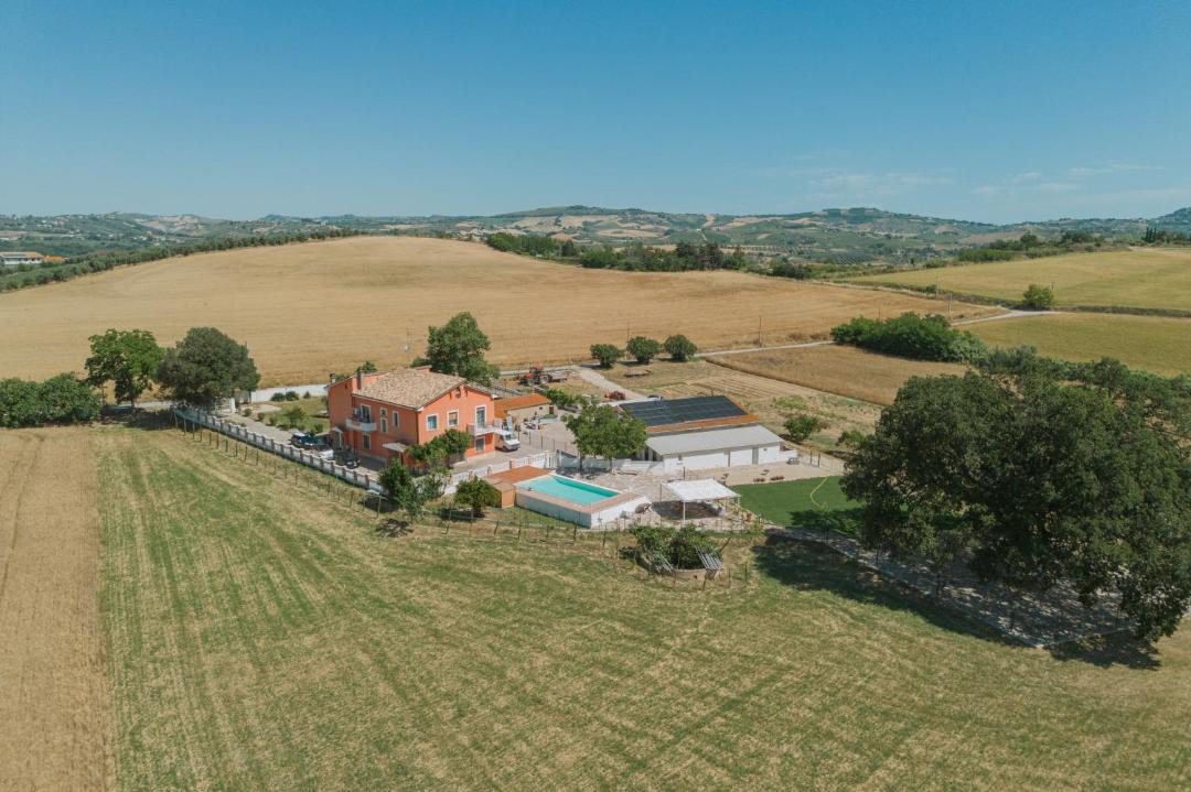 Photo of Others in Collecorvino