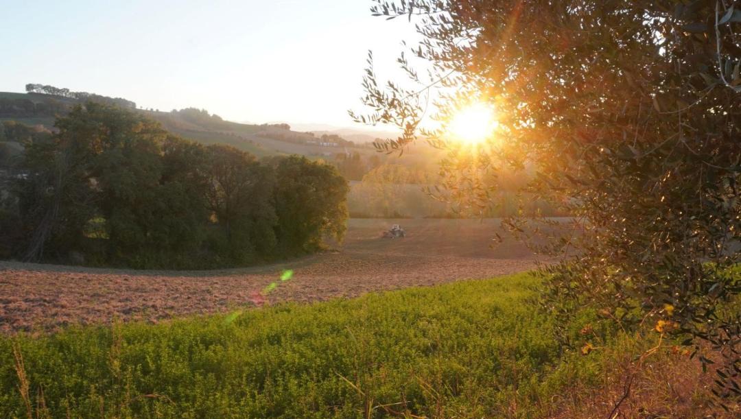 Photo of Others in Corridonia