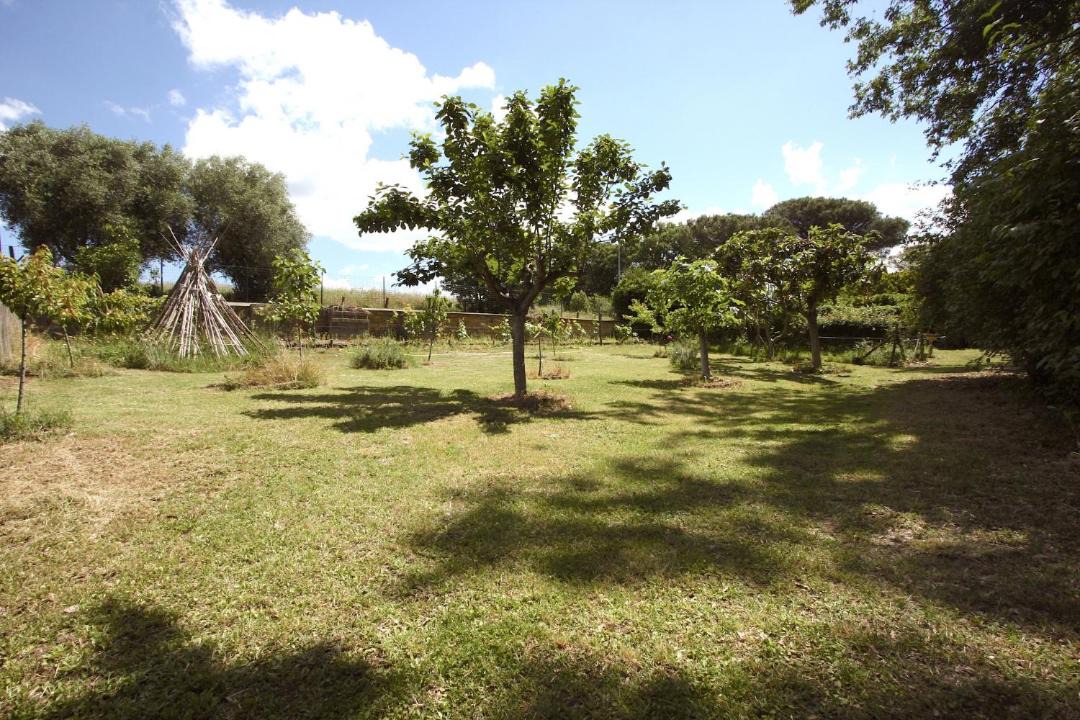 Photo of Others in Ara Nova