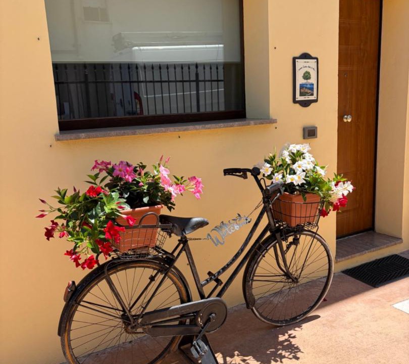 Photo of Others in Petrignano