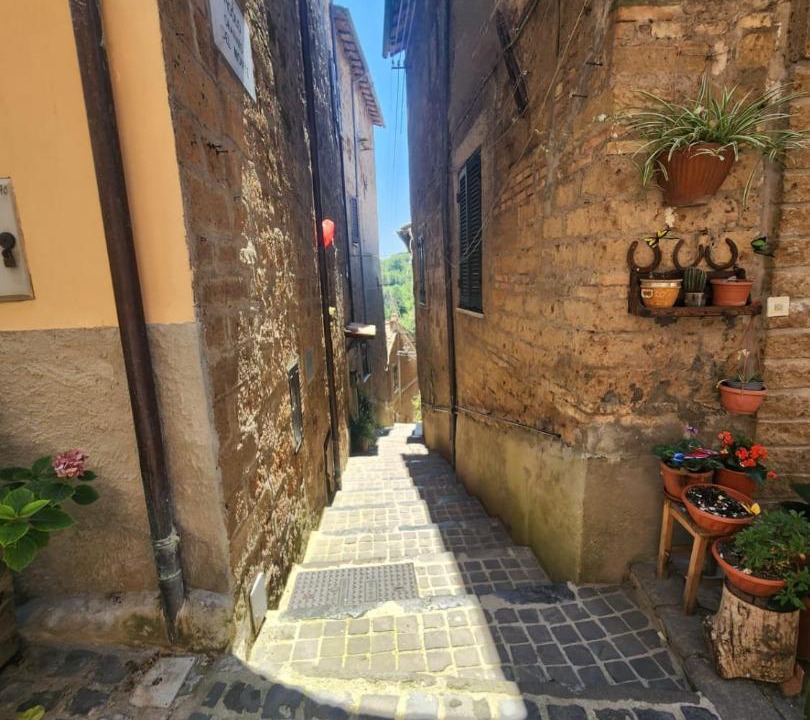 Photo of Others in Capranica