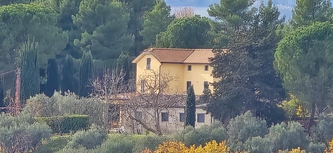 Photo of Others in Falerone