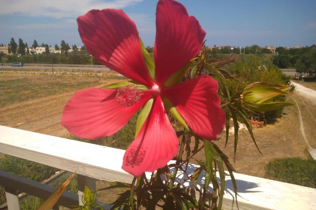Photo of Others in Marina di Montenero