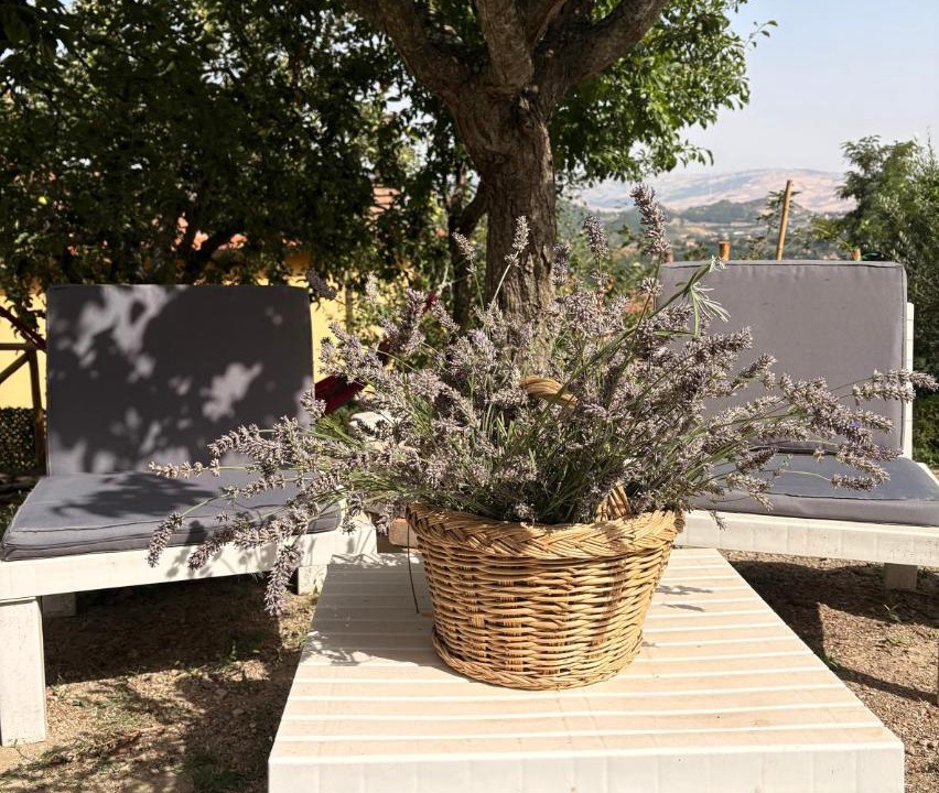 Photo of Others in Ariano Irpino
