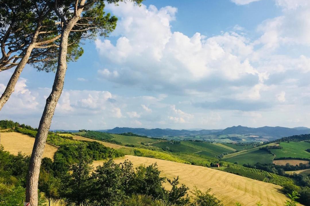 Photo of Others in Castel Bolognese