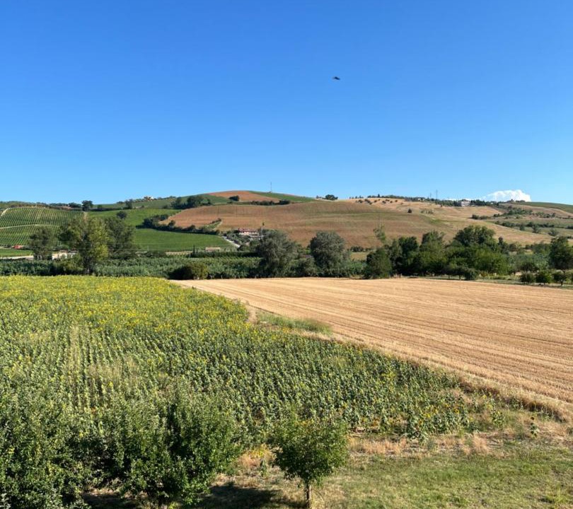 Photo of Others in Fermo