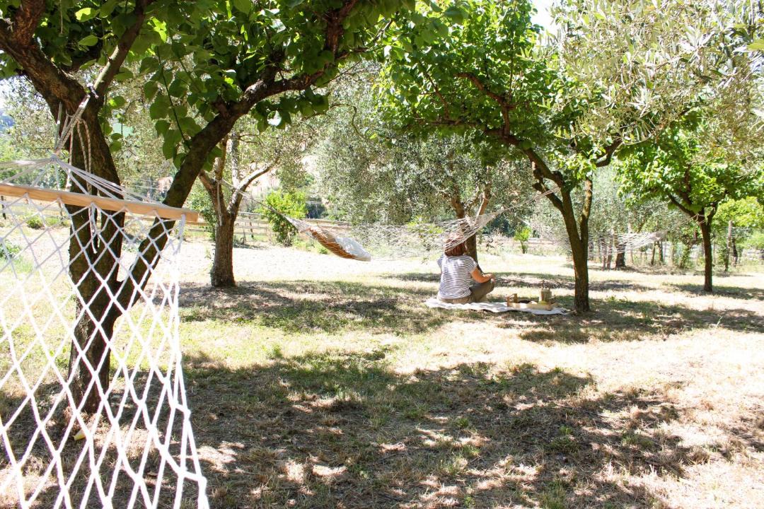 Photo of Others in Monte San Giusto