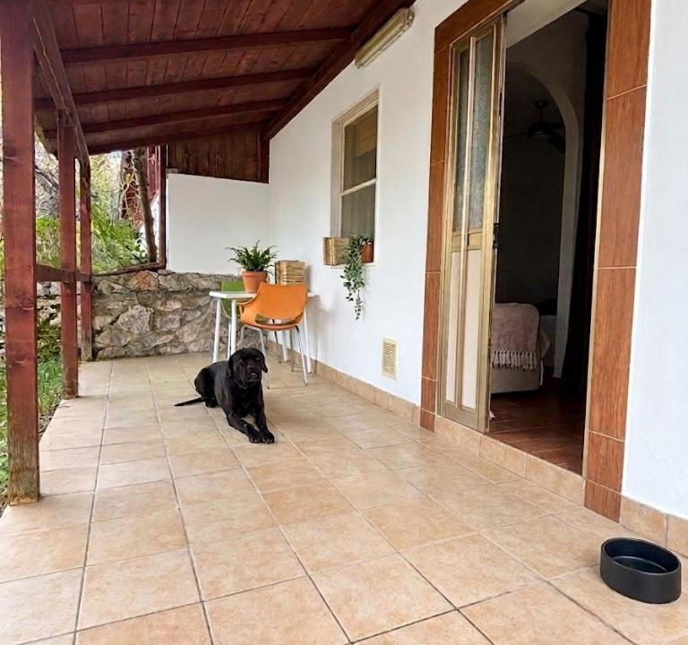 Photo of Others in Peschici