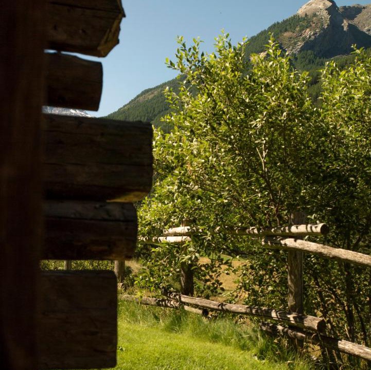 Photo of Others in Cogne